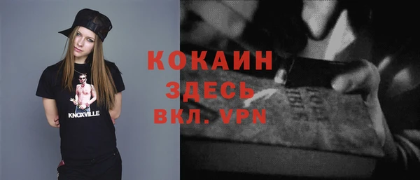 соль ск Богородицк