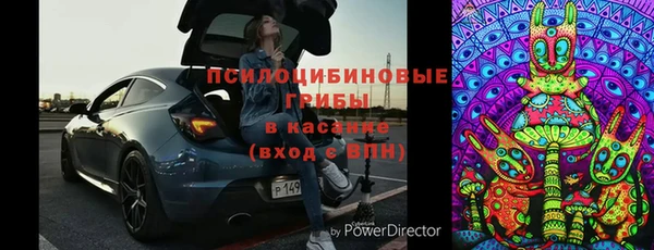 соль ск Богородицк