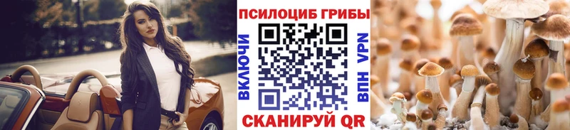 Купить  Вытегра  Псилоцибиновые грибы прущие грибы 