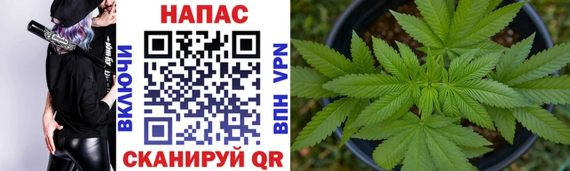 Купить закладки  Вытегра  Бошки Шишки THC 21% 